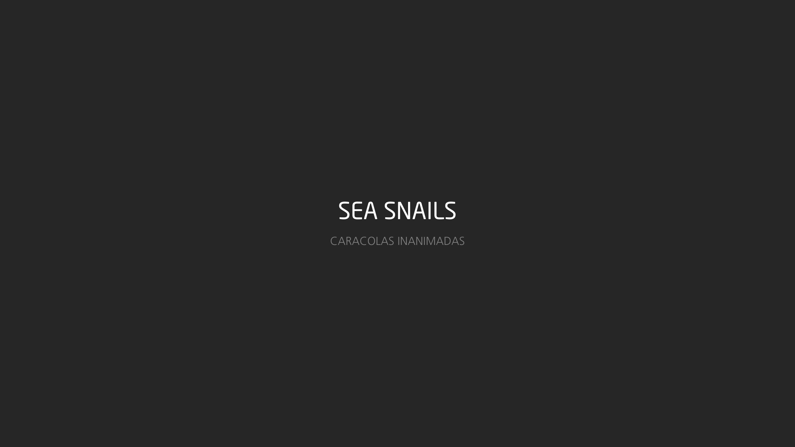 Personal Sea Snails